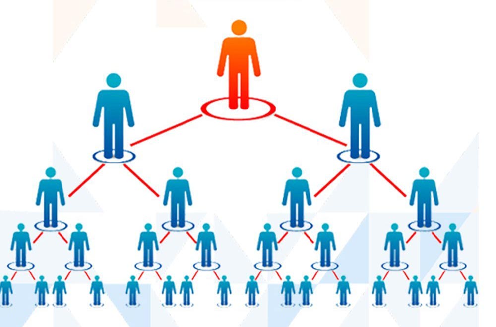 MLM Website Development Company in Patna
